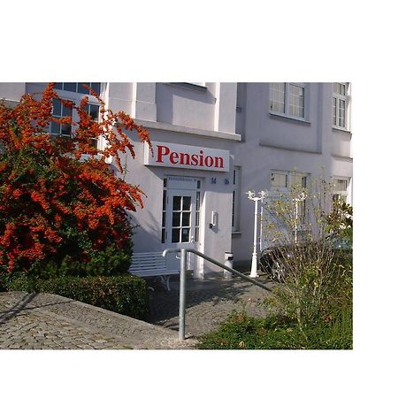 Pension An Der Weisseritz دريسدن المظهر الخارجي الصورة