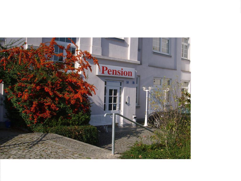 Pension An Der Weisseritz دريسدن المظهر الخارجي الصورة